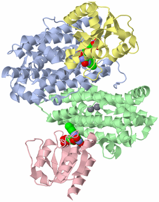 Image Asym./Biol. Unit