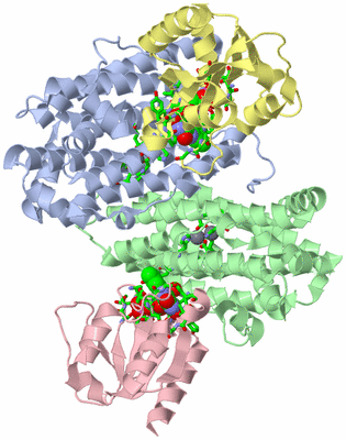 Image Asym./Biol. Unit - sites