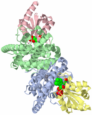 Image Asym./Biol. Unit