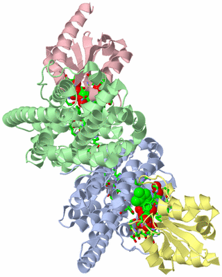 Image Asym./Biol. Unit - sites