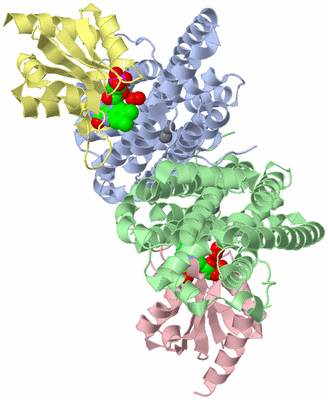 Image Asym./Biol. Unit