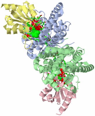 Image Asym./Biol. Unit - sites