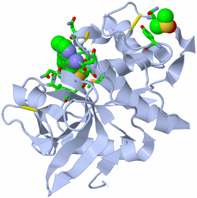 Image Biol. Unit 1 - sites