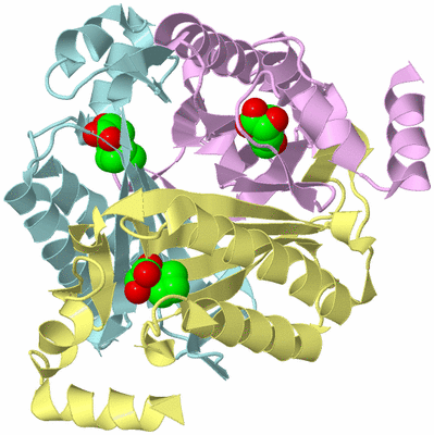 Image Biological Unit 2