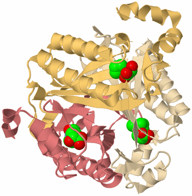 Image Biological Unit 3