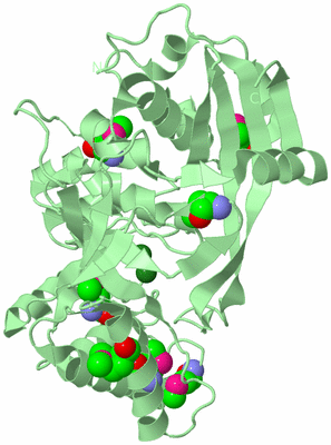 Image Biological Unit 2