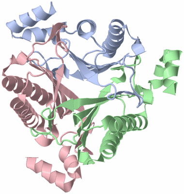 Image Asym./Biol. Unit