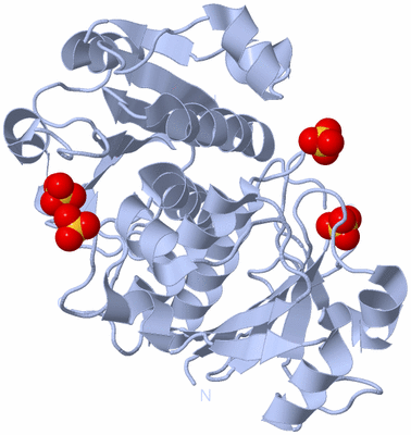 Image Biological Unit 1