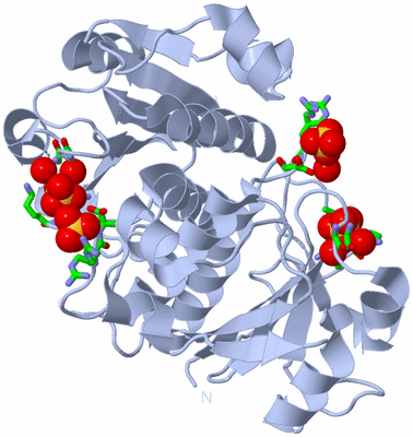 Image Biol. Unit 1 - sites