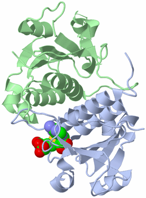 Image Asym./Biol. Unit