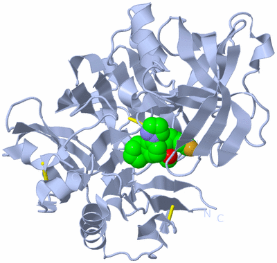 Image Biological Unit 1