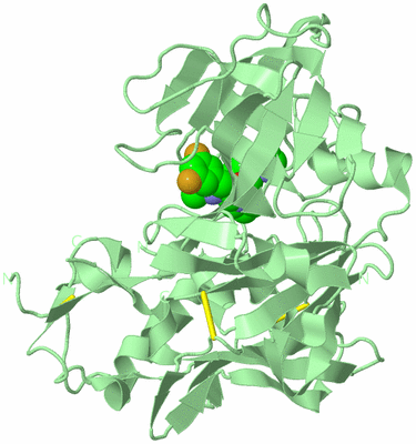 Image Biological Unit 2