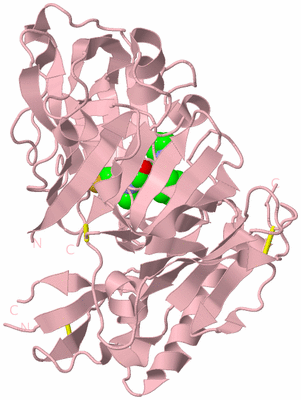 Image Biological Unit 3