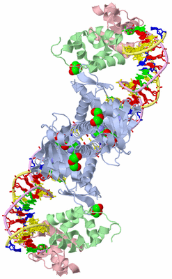 Image Biological Unit 1