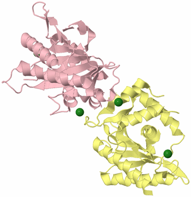 Image Biological Unit 2