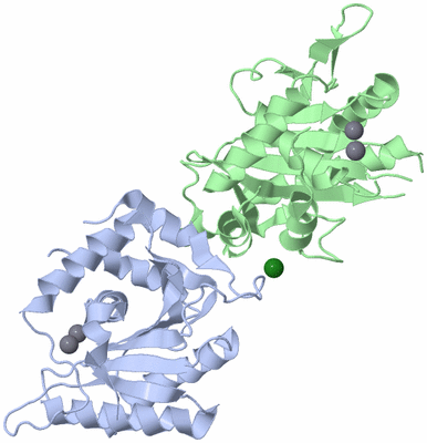Image Biological Unit 1