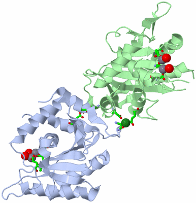 Image Biol. Unit 1 - sites