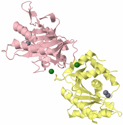 Image Biological Unit 2