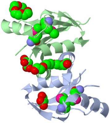 Image Biological Unit 1