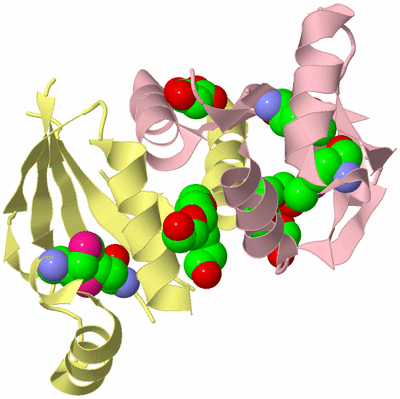 Image Biological Unit 2