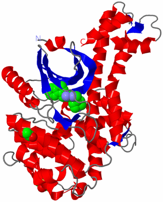 Image Asym./Biol. Unit