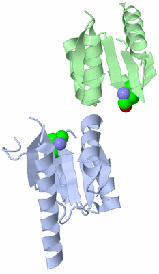 Image Biological Unit 3