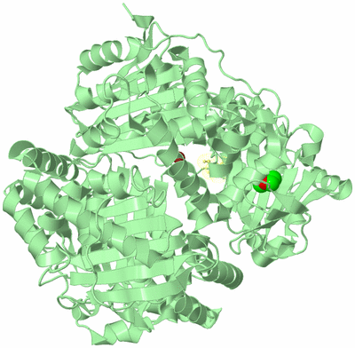 Image Biological Unit 2