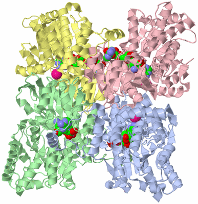 Image Asym./Biol. Unit