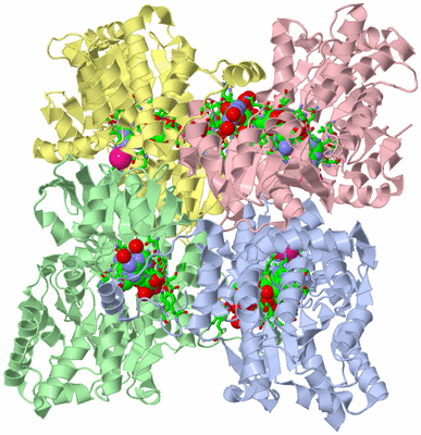 Image Asym./Biol. Unit - sites