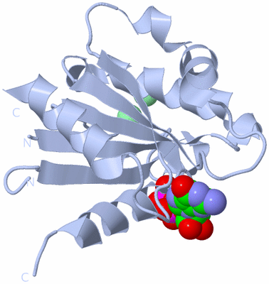 Image Biological Unit 1