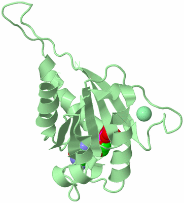 Image Biological Unit 2