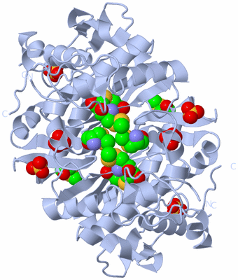 Image Biological Unit 1