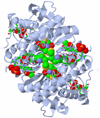 Image Biol. Unit 1 - sites