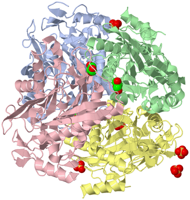 Image Asym./Biol. Unit