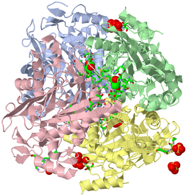 Image Asym./Biol. Unit - sites