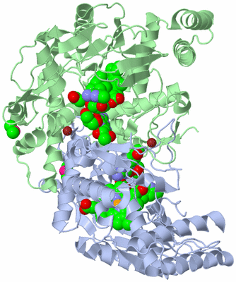 Image Asym./Biol. Unit