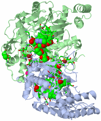 Image Asym./Biol. Unit - sites