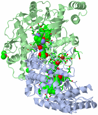 Image Asym./Biol. Unit - sites