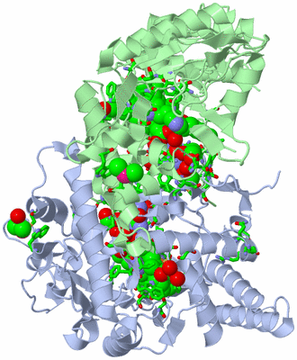 Image Asym./Biol. Unit - sites