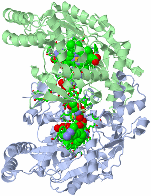 Image Asym./Biol. Unit - sites