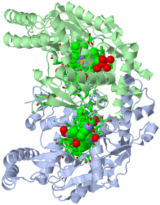 Image Asym./Biol. Unit - sites