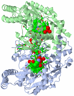 Image Asym./Biol. Unit - sites