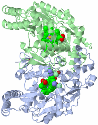 Image Asym./Biol. Unit