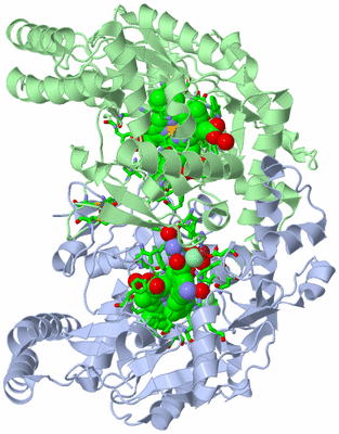 Image Asym./Biol. Unit - sites