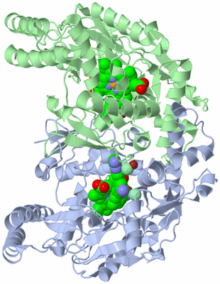 Image Asym./Biol. Unit