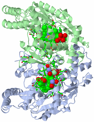 Image Asym./Biol. Unit - sites