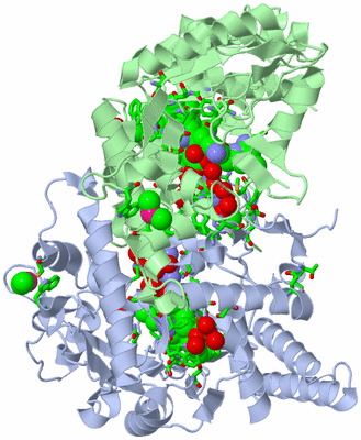 Image Asym./Biol. Unit - sites