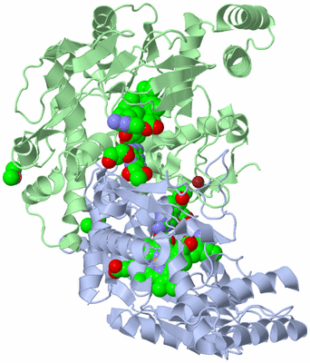 Image Asym./Biol. Unit