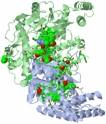 Image Asym./Biol. Unit - sites