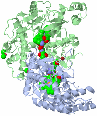 Image Asym./Biol. Unit